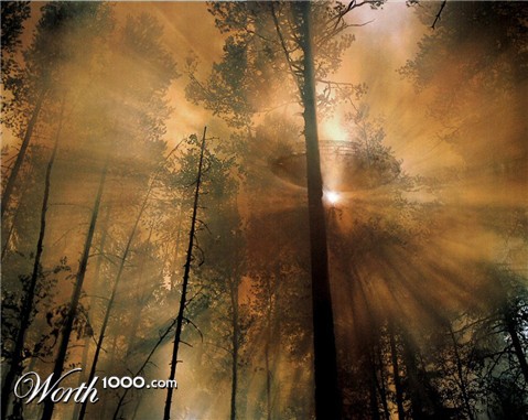 Photoshop Design by Ziaphra