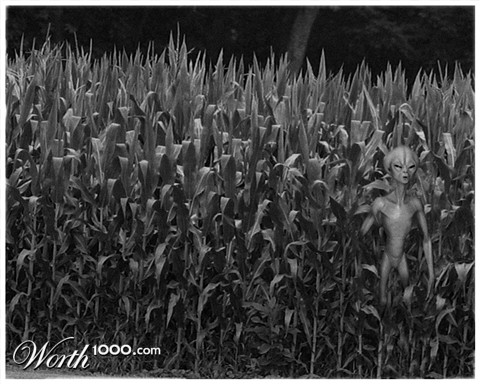 Photoshop Design by osbornej76