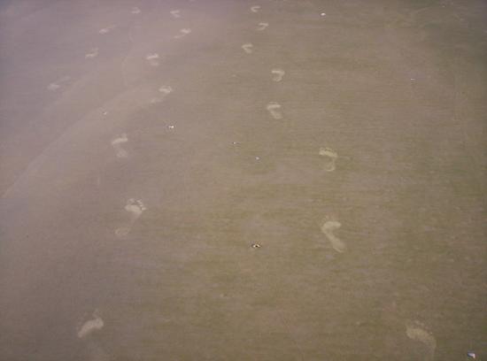 Photography by damembal for DesignCrowd (Community Contests) | Design #9065609