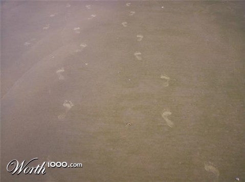 Photography by damembal