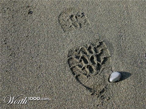 Photography by KarenC