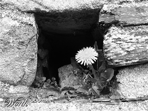 Photography by modeseven
