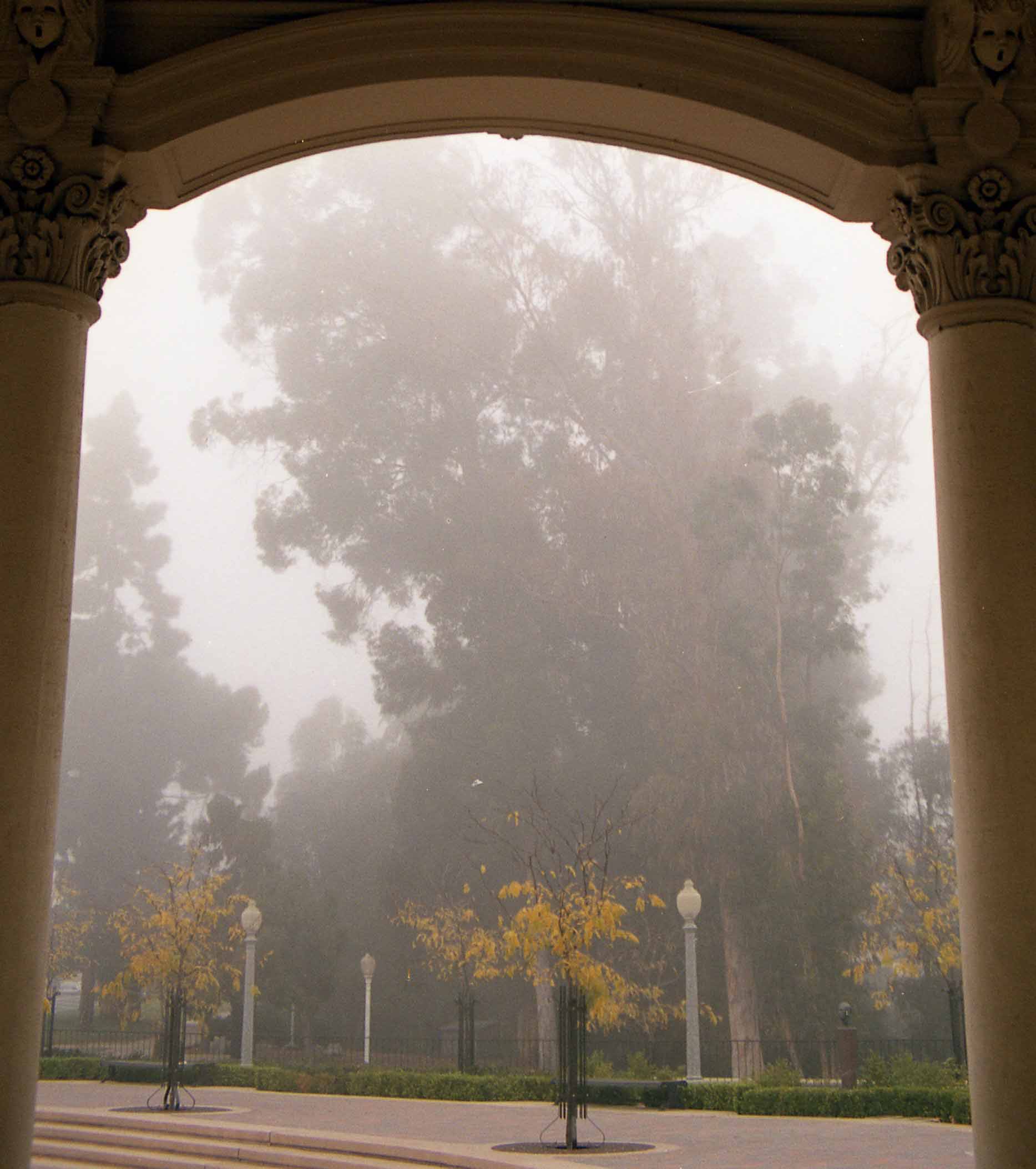 Fotografie von tigercrosse für DesignCrowd (Community Contests) | Design #9084422