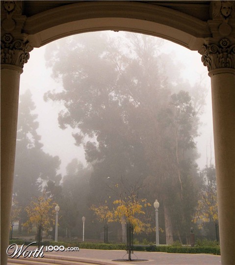 Photography by tigercrosse