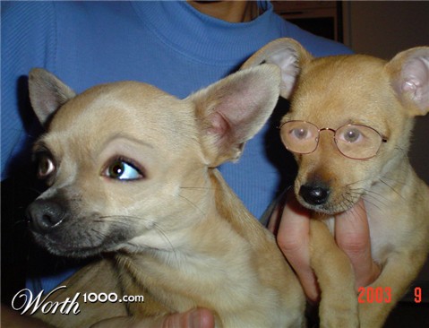 Photoshop Design by Apemolecule