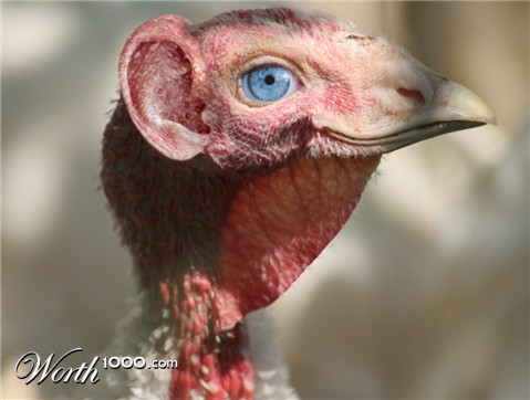 Photoshop Design by TIOCHICO