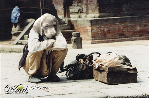 Photoshop Design by adamcoop280