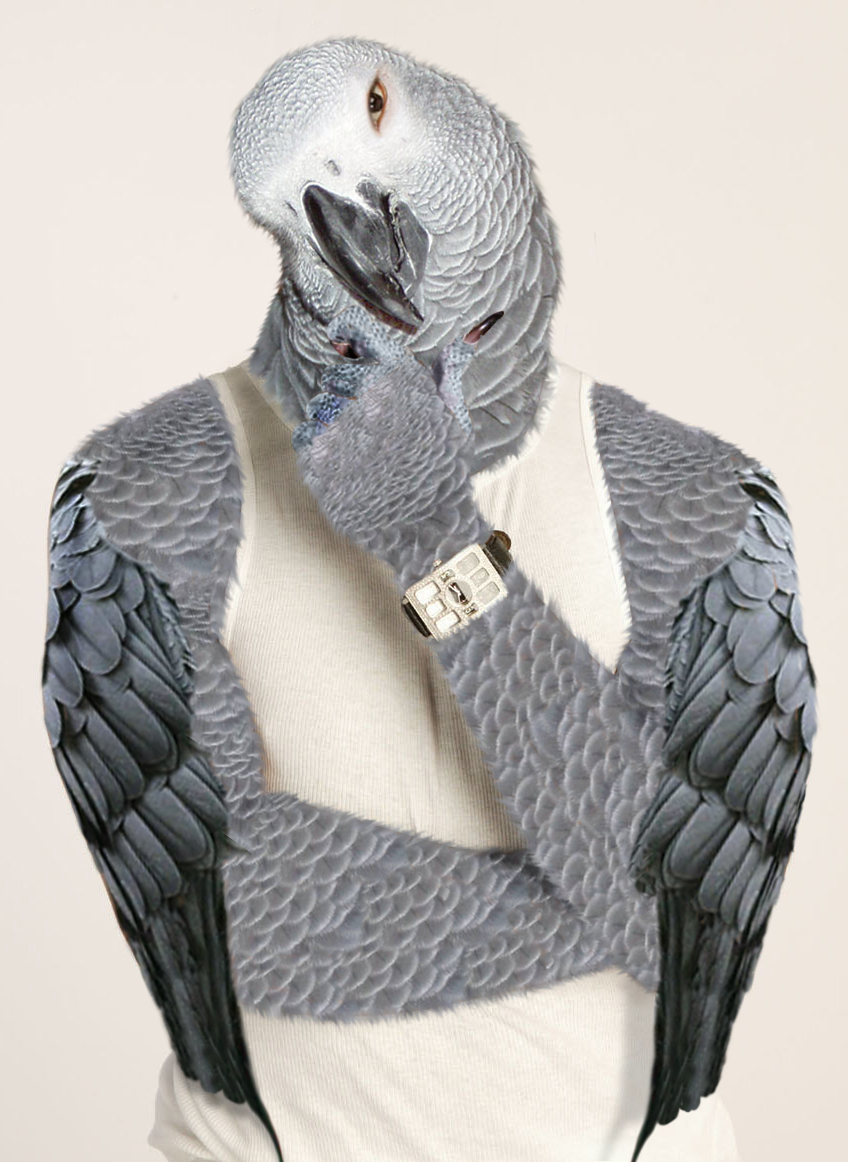 Photoshop Design by jayjay007 for DesignCrowd (Community Contests) | Design #9085383