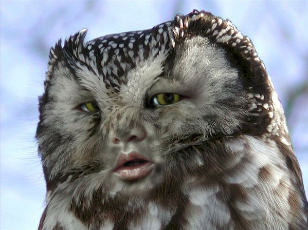 Diseño de Photoshop por despiris para DesignCrowd (Community Contests) | Diseño #9085396