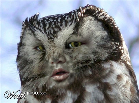 Photoshop Design by despiris