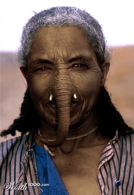 Photoshop Design by Dziedzic