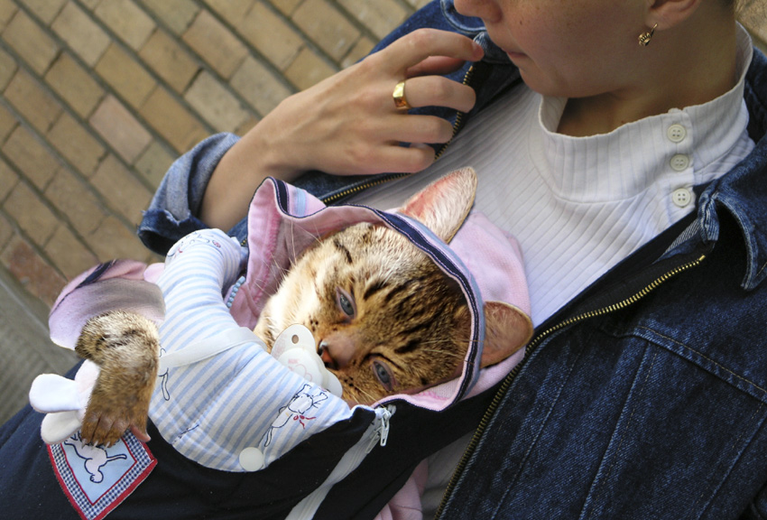 Photoshop-Design von jachang für DesignCrowd (Community Contests) | Design #9085381