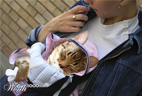 Photoshop Design by jachang