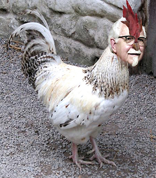 Photoshop Design by eduj65 for DesignCrowd (Community Contests) | Design #9085422