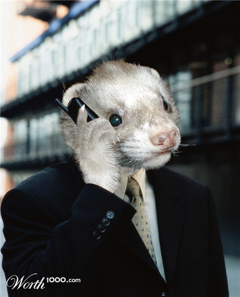 Photoshop Design by SteveDig