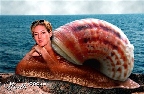 Photoshop Design by MrMouse