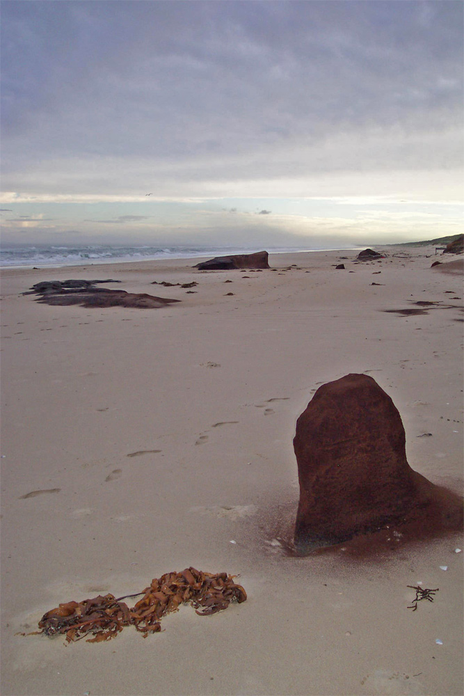 Photography by ozplasmic for DesignCrowd (Community Contests) | Design #9065622