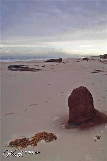 Photography by ozplasmic