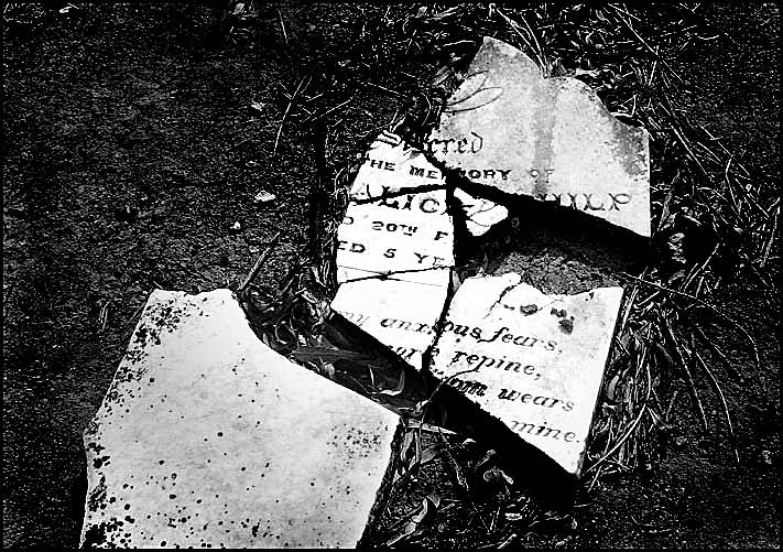 Fotografie von smylie für DesignCrowd (Community Contests) | Design #9083721