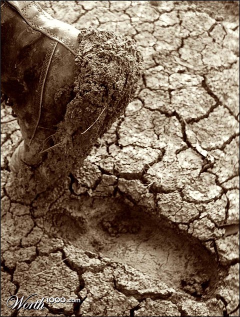 Photography by Budmulla