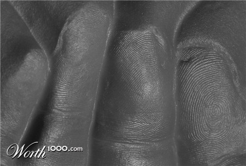 Photography by johnnymaxwell