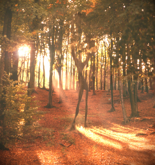 Diseño de Photoshop por maxell para DesignCrowd (Community Contests) | Diseño #9080928