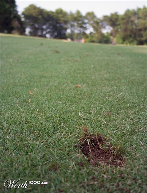 Photography by crgnjul