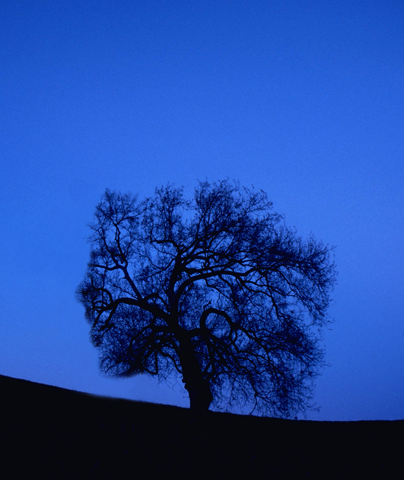 Design Photoshop par HeatherB pour DesignCrowd (Community Contests) | Design #9080965