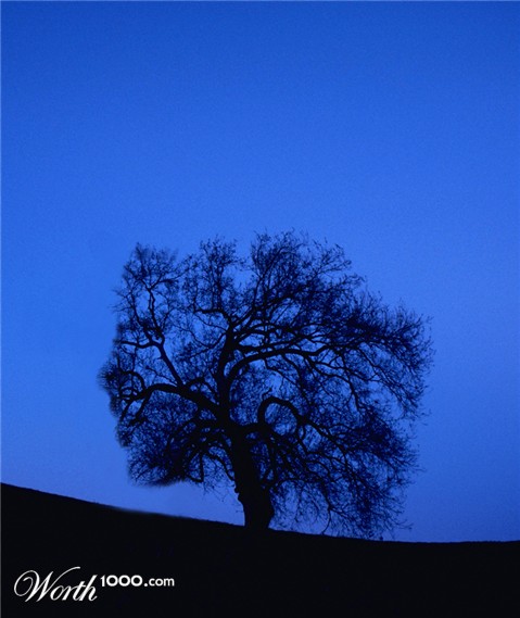 Photoshop Design by HeatherB