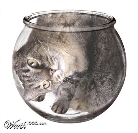 Photoshop Design by HeatherB