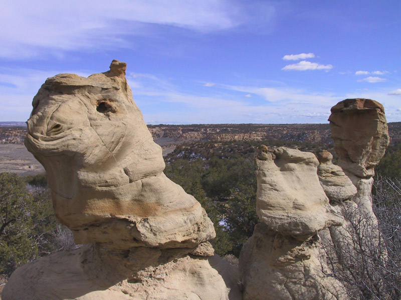 Photoshop Design by naveen4 for DesignCrowd (Community Contests) | Design #9081025