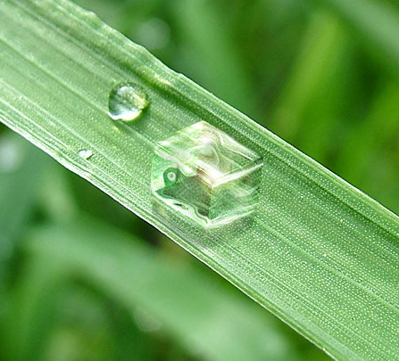 Photoshop Design by msNicole for DesignCrowd (Community Contests) | Design #9082371