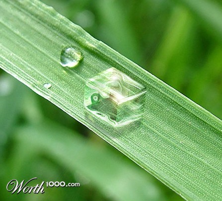 Photoshop Design by msNicole