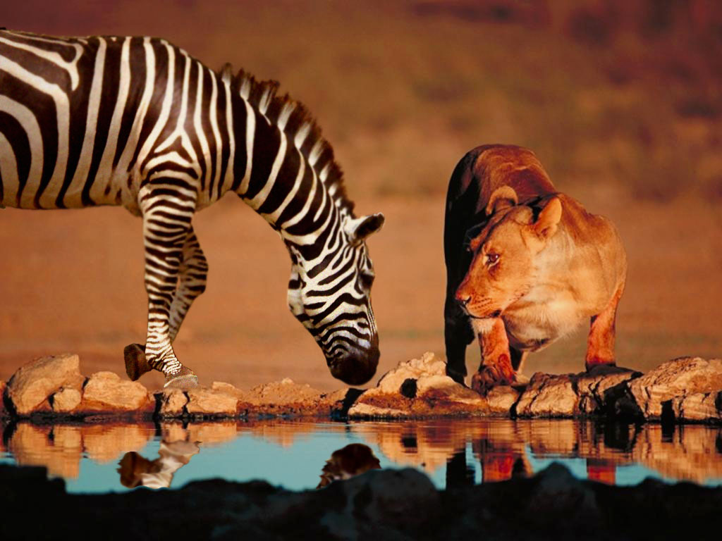 Design Photoshop par BaBooN4 pour DesignCrowd (Community Contests) | Design #9082470