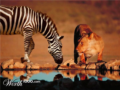 Photoshop Design by BaBooN4