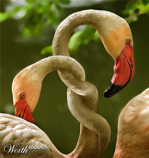 Photoshop Design by zulittle