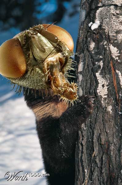 Photoshop Design by trumpy303