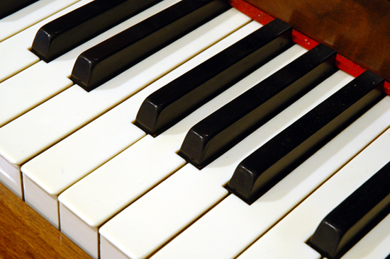 Photography by kimbomac for DesignCrowd (Community Contests) | Design #9083771