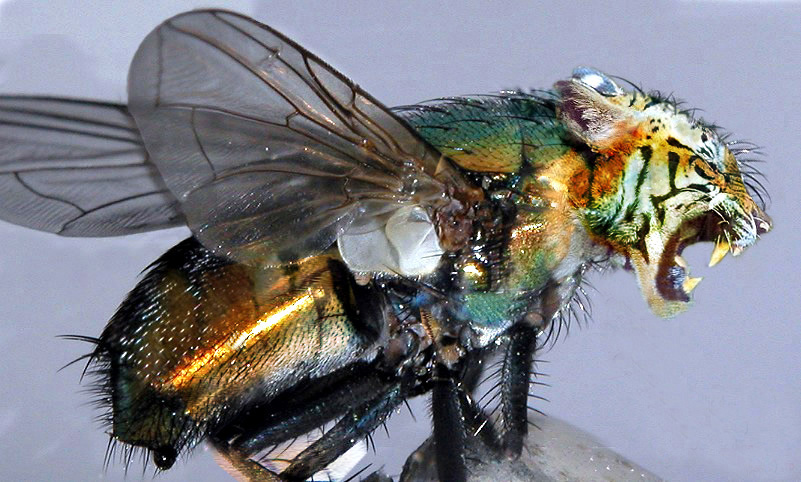 Photoshop Design by mehere for DesignCrowd (Community Contests) | Design #9081813