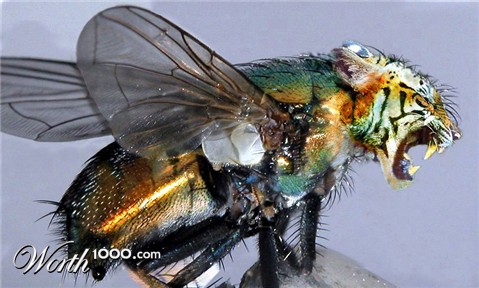 Photoshop Design by mehere