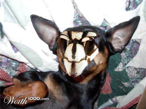 Photoshop Design by glanzone