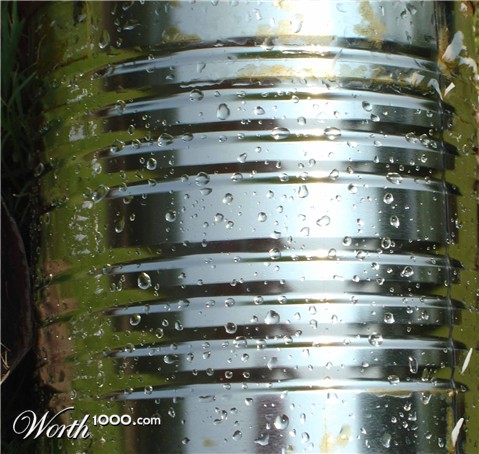 Photography by tigercrosse