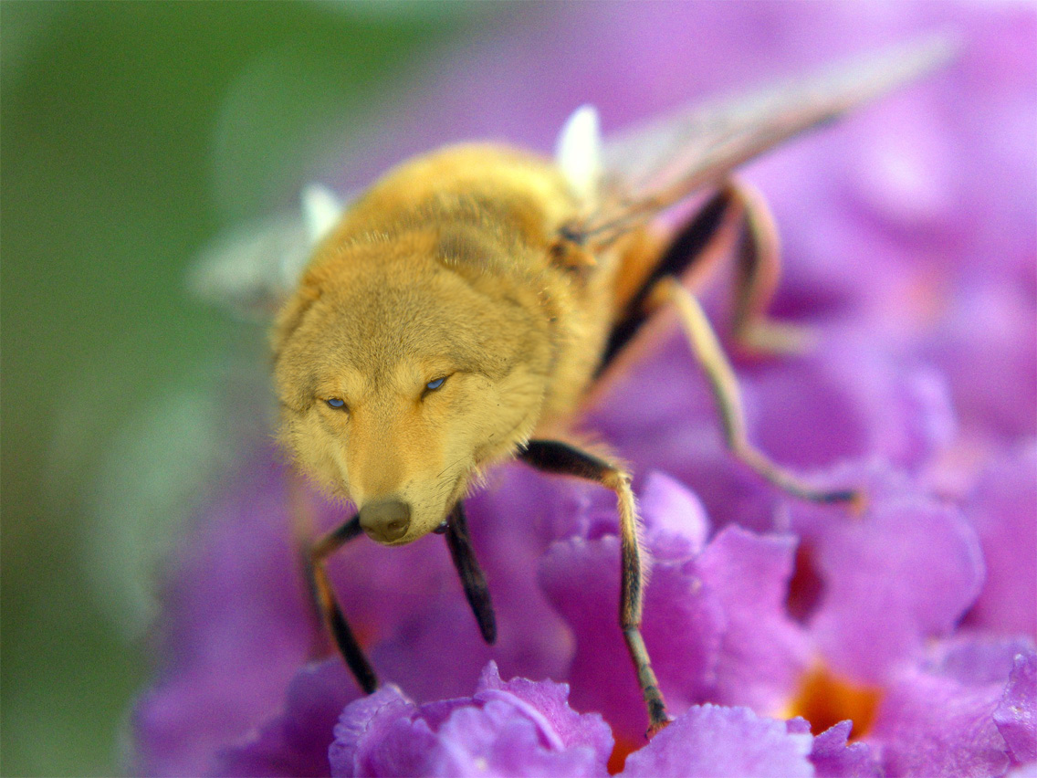 Photoshop Design by Gramlengo for DesignCrowd (Community Contests) | Design #9081830