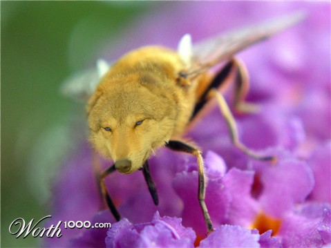 Photoshop Design by Gramlengo