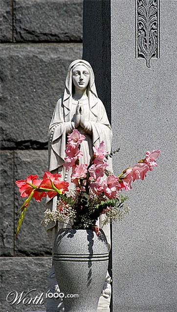 Photography by mellian