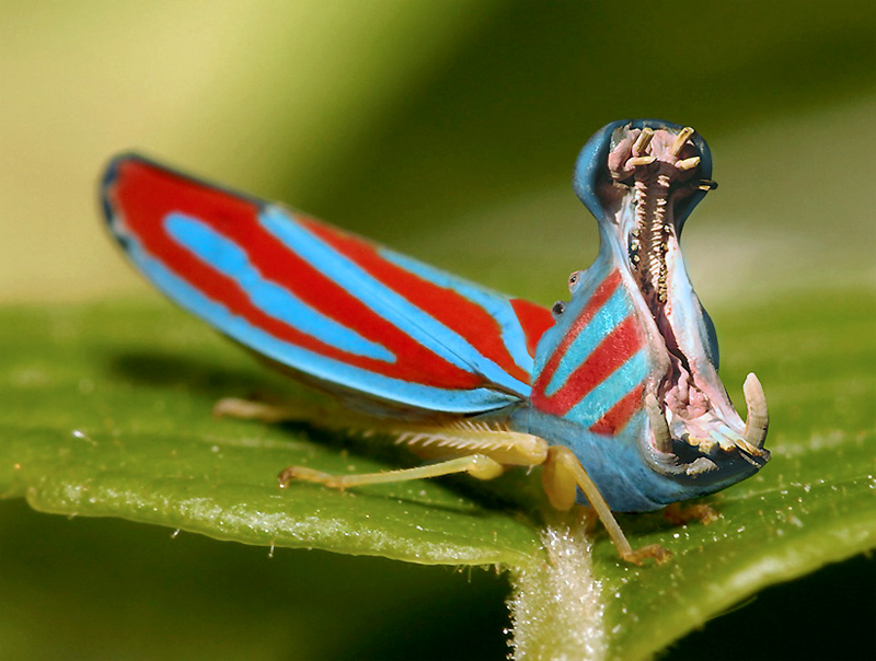 Photoshop Design by ozplasmic for DesignCrowd (Community Contests) | Design #9081833