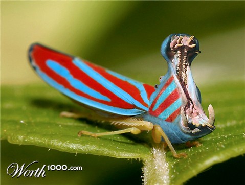 Photoshop Design by ozplasmic