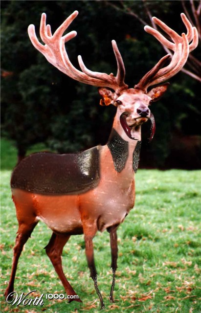 Photoshop Design by Drew576