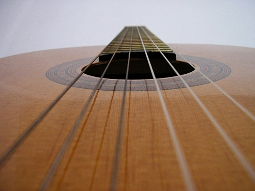 Fotografía por Icie99 para DesignCrowd (Community Contests) | Diseño #9083760