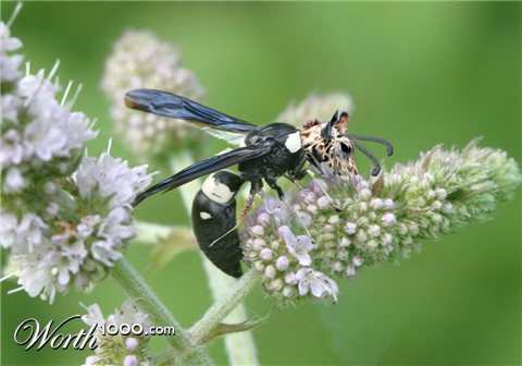 Photoshop Design by jachang